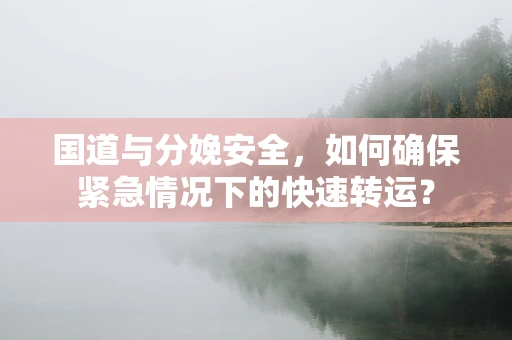 国道与分娩安全，如何确保紧急情况下的快速转运？