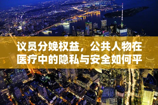 议员分娩权益，公共人物在医疗中的隐私与安全如何平衡？