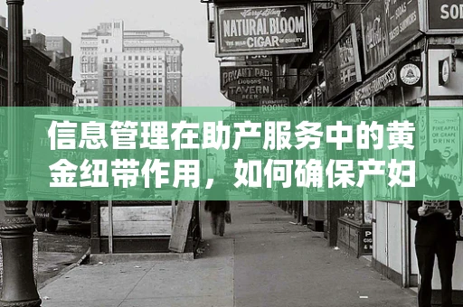 信息管理在助产服务中的黄金纽带作用，如何确保产妇数据安全与高效流通？