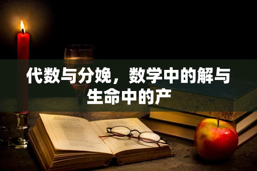 代数与分娩，数学中的解与生命中的产
