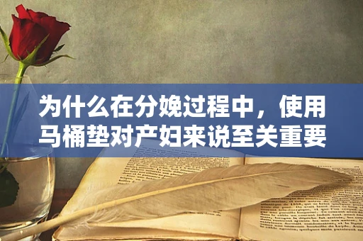 为什么在分娩过程中，使用马桶垫对产妇来说至关重要？