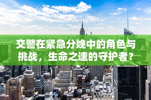 交警在紧急分娩中的角色与挑战，生命之速的守护者？