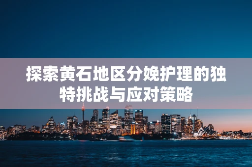 探索黄石地区分娩护理的独特挑战与应对策略