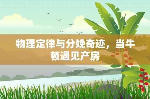 物理定律与分娩奇迹，当牛顿遇见产房