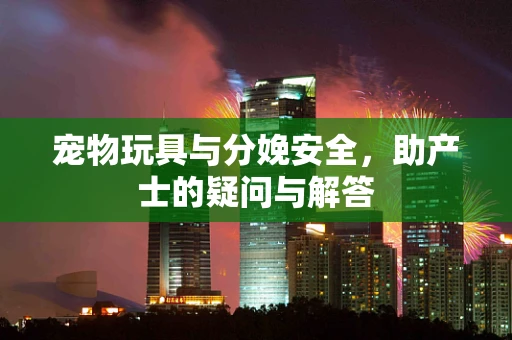 宠物玩具与分娩安全，助产士的疑问与解答
