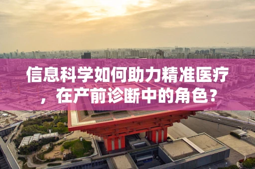 信息科学如何助力精准医疗，在产前诊断中的角色？