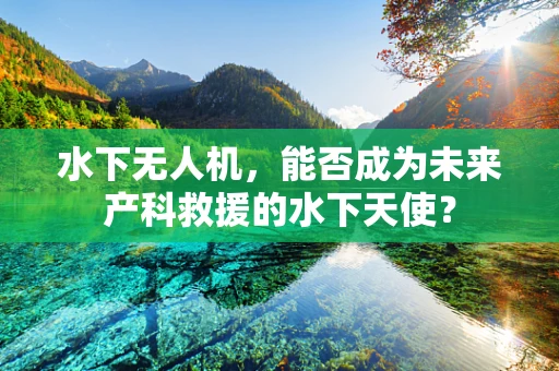 水下无人机，能否成为未来产科救援的水下天使？