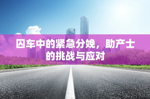 囚车中的紧急分娩，助产士的挑战与应对
