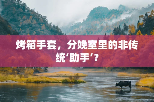 烤箱手套，分娩室里的非传统‘助手’？