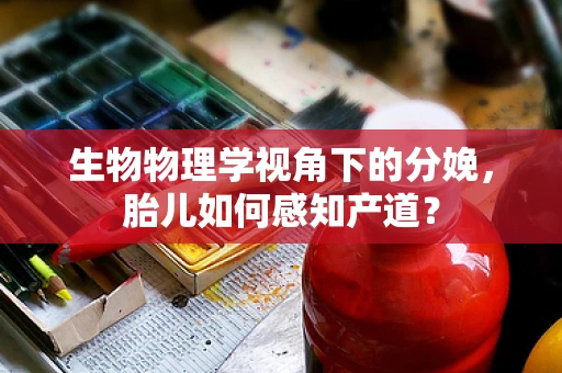 生物物理学视角下的分娩，胎儿如何感知产道？