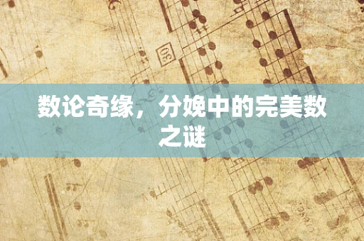 数论奇缘，分娩中的完美数之谜