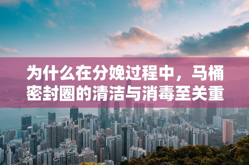 为什么在分娩过程中，马桶密封圈的清洁与消毒至关重要？