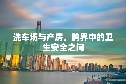 洗车场与产房，跨界中的卫生安全之问
