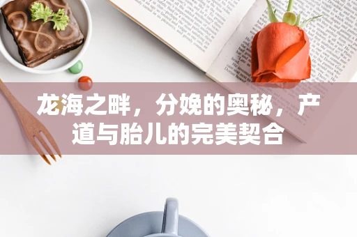 龙海之畔，分娩的奥秘，产道与胎儿的完美契合