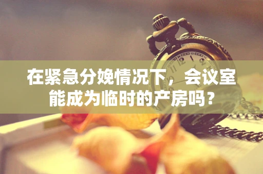 在紧急分娩情况下，会议室能成为临时的产房吗？