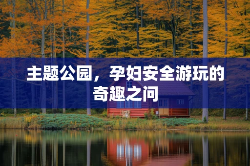 主题公园，孕妇安全游玩的奇趣之问