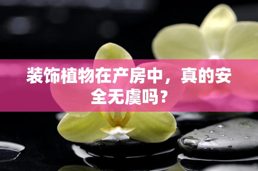 装饰植物在产房中，真的安全无虞吗？