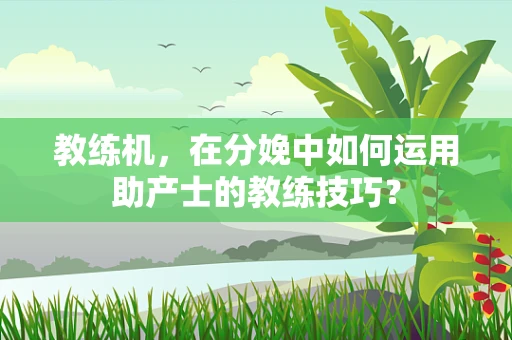 教练机，在分娩中如何运用助产士的教练技巧？