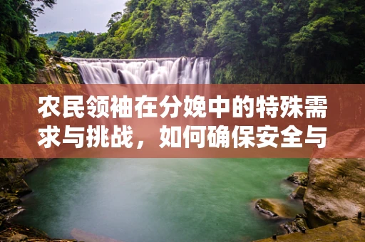 农民领袖在分娩中的特殊需求与挑战，如何确保安全与尊严？