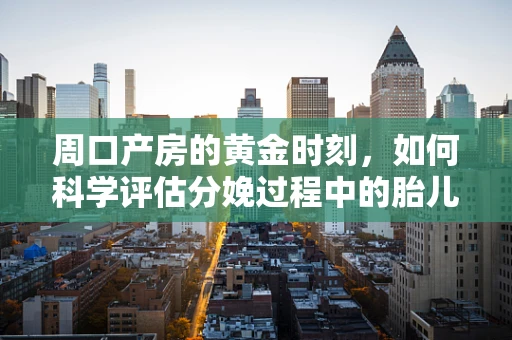 周口产房的黄金时刻，如何科学评估分娩过程中的胎儿胎心监护？