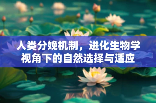 人类分娩机制，进化生物学视角下的自然选择与适应