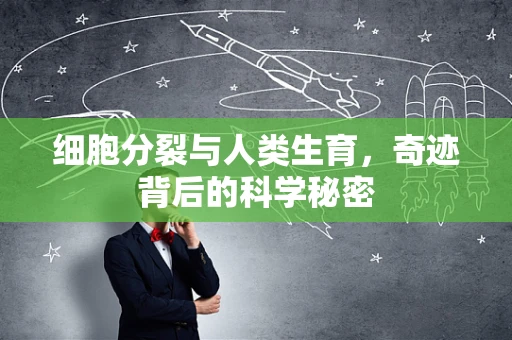 细胞分裂与人类生育，奇迹背后的科学秘密