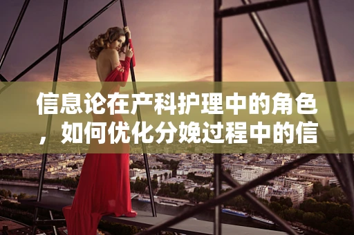 信息论在产科护理中的角色，如何优化分娩过程中的信息传递？