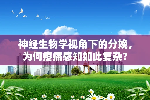 神经生物学视角下的分娩，为何疼痛感知如此复杂？