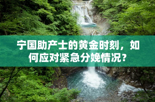 宁国助产士的黄金时刻，如何应对紧急分娩情况？