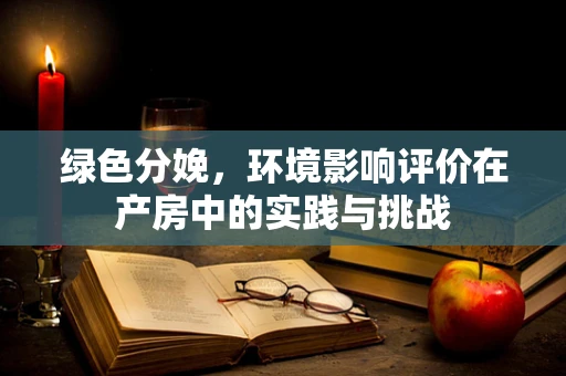 绿色分娩，环境影响评价在产房中的实践与挑战