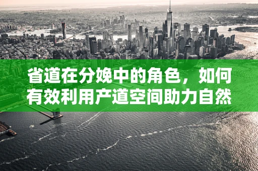 省道在分娩中的角色，如何有效利用产道空间助力自然分娩？