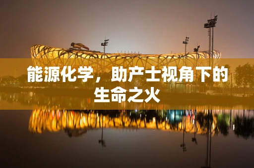 能源化学，助产士视角下的生命之火
