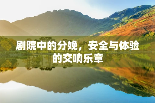 剧院中的分娩，安全与体验的交响乐章