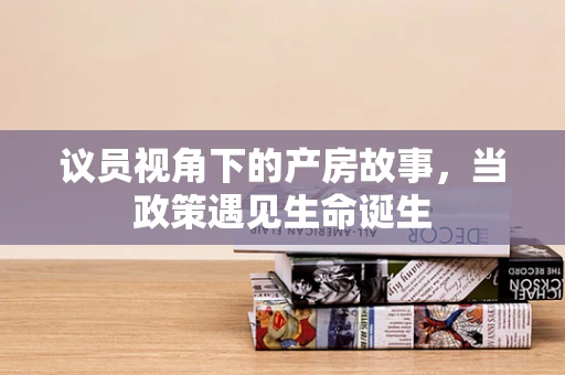 议员视角下的产房故事，当政策遇见生命诞生