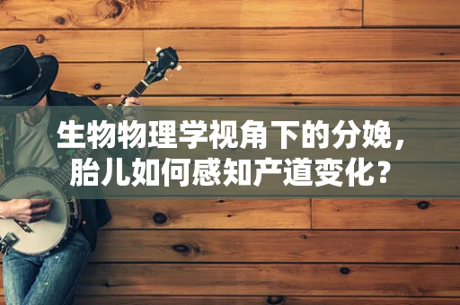 生物物理学视角下的分娩，胎儿如何感知产道变化？