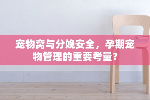 宠物窝与分娩安全，孕期宠物管理的重要考量？