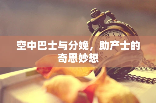 空中巴士与分娩，助产士的奇思妙想