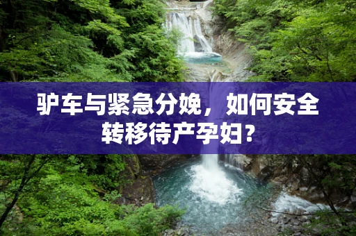 驴车与紧急分娩，如何安全转移待产孕妇？