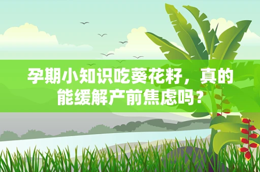 孕期小知识吃葵花籽，真的能缓解产前焦虑吗？