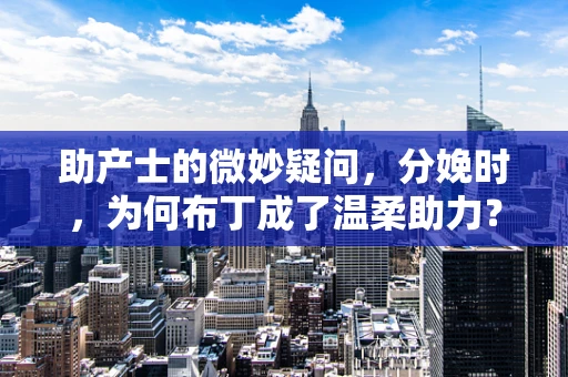助产士的微妙疑问，分娩时，为何布丁成了温柔助力？