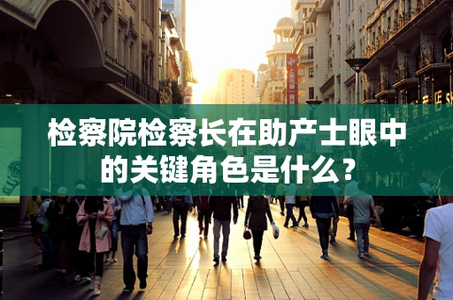 检察院检察长在助产士眼中的关键角色是什么？