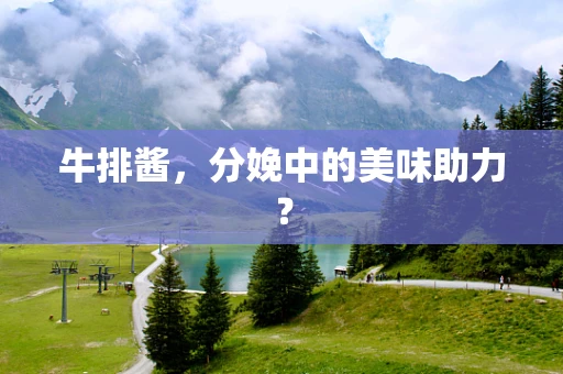 牛排酱，分娩中的美味助力？