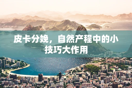 皮卡分娩，自然产程中的小技巧大作用