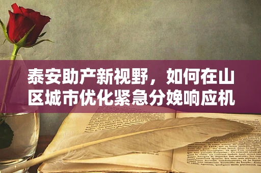 泰安助产新视野，如何在山区城市优化紧急分娩响应机制？